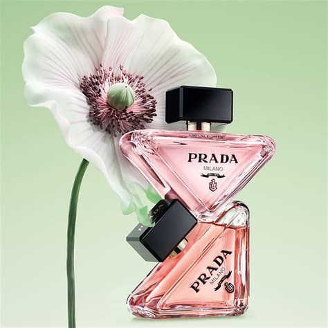 prada pop up flowers|Prada Beauty Prada Paradoxe Virtual Flower Market and .